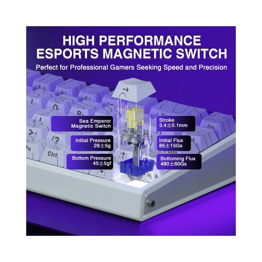 AULA Hero 68 HE Wired Magnetic Keyboard Gradient Purple (Side-Engraved Keycaps) 4197