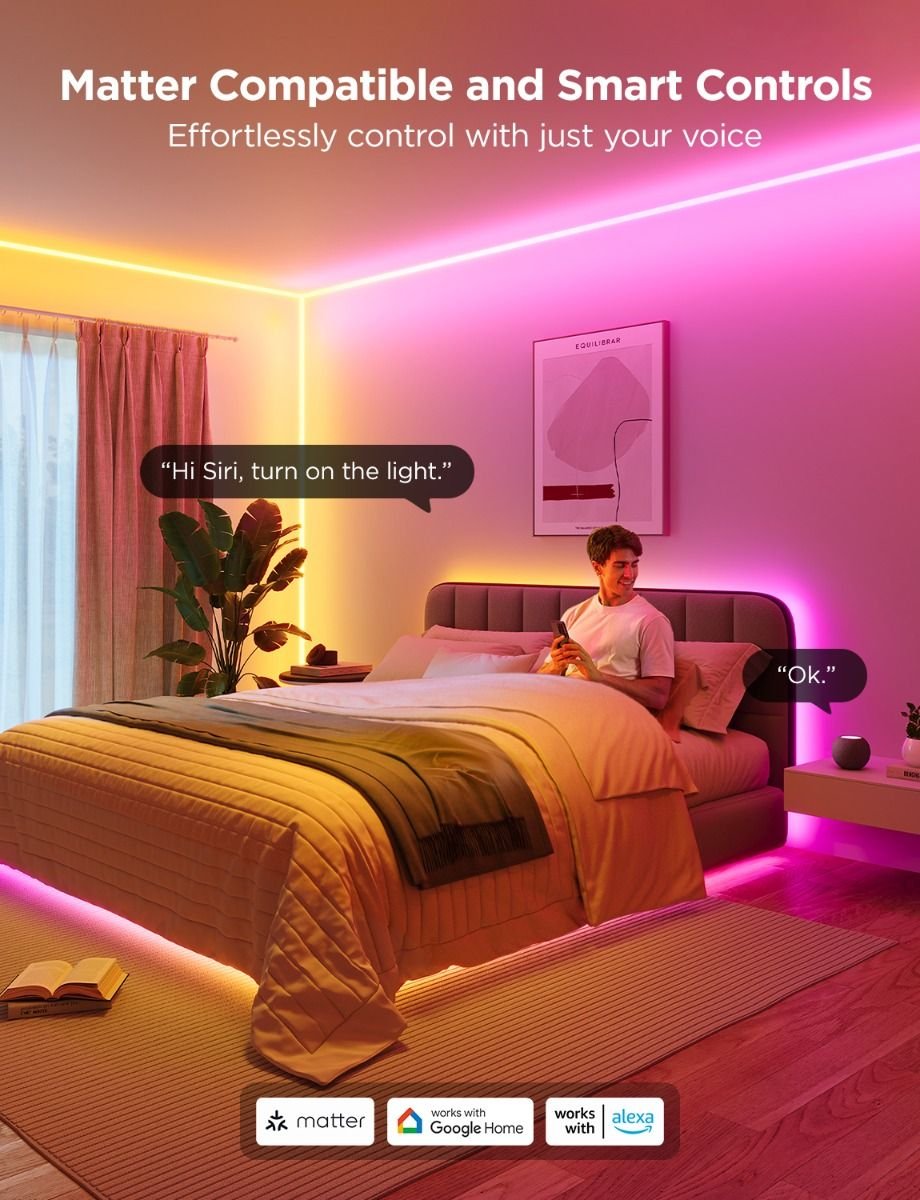 Govee Neon Rope Light for Wall Lining 5M